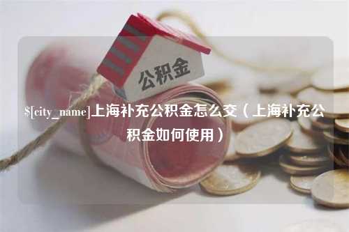 黄石上海补充公积金怎么交（上海补充公积金如何使用）