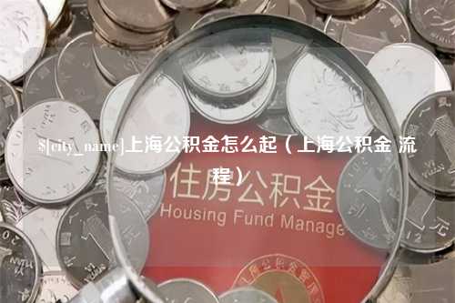 黄石上海公积金怎么起（上海公积金 流程）